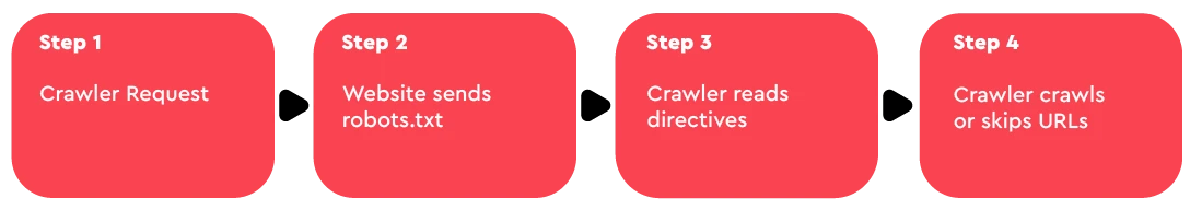 The robots.txt file process